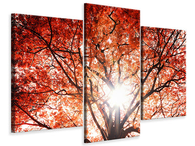 modern-3-piece-canvas-print-light-of-autumn