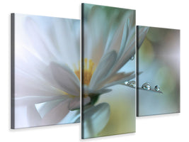 modern-3-piece-canvas-print-light-touch