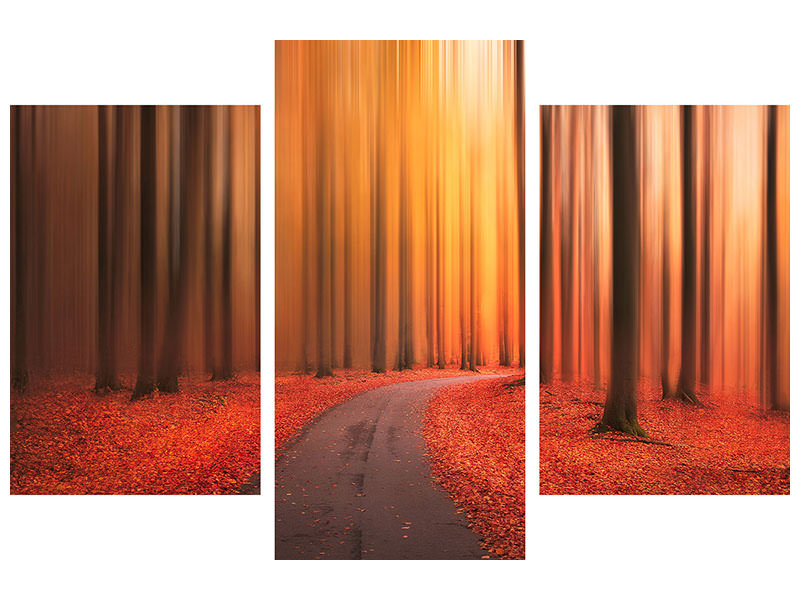 modern-3-piece-canvas-print-path-to-unknown