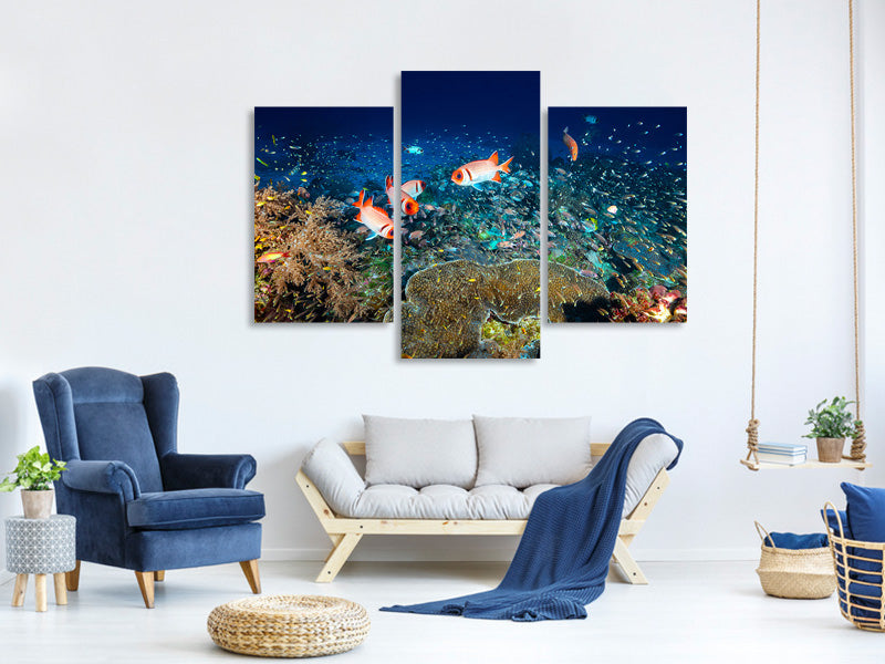 modern-3-piece-canvas-print-reef-lifeii