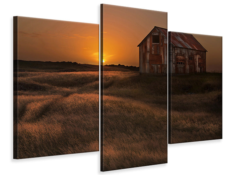 modern-3-piece-canvas-print-september-sun