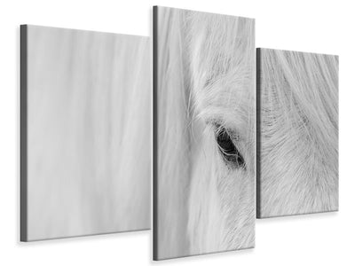 modern-3-piece-canvas-print-whisper-of-iceland