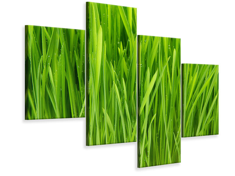 modern-4-piece-canvas-print-grass-in-morning-dew