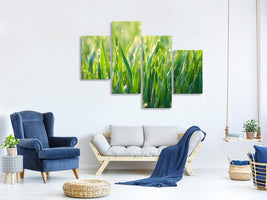 modern-4-piece-canvas-print-grass-with-morning-dew-xl