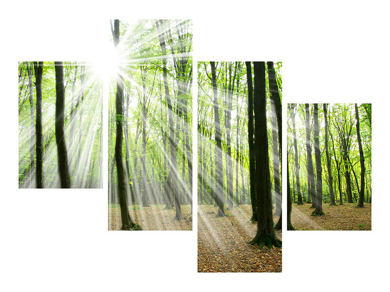 modern-4-piece-canvas-print-magic-light-in-the-trees