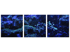 panoramic-3-piece-canvas-print-coral-reef-in-blue