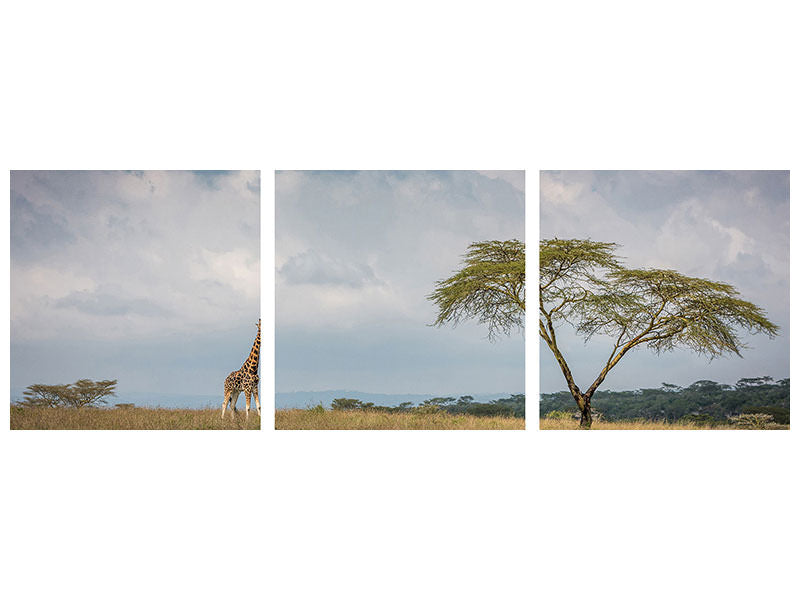 panoramic-3-piece-canvas-print-east-africa