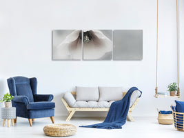 panoramic-3-piece-canvas-print-ephemeral-beauty-ii