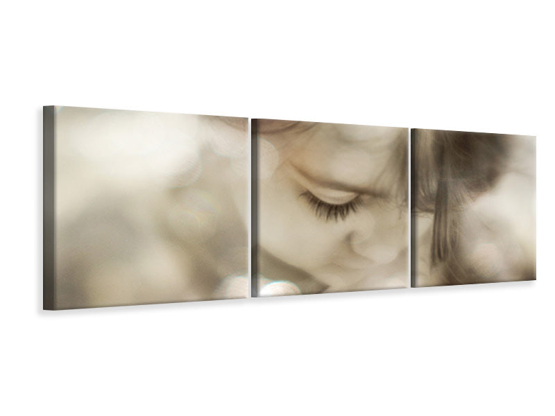 panoramic-3-piece-canvas-print-hi-lite