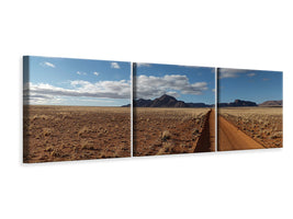 panoramic-3-piece-canvas-print-in-namibia