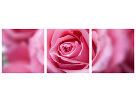 panoramic-3-piece-canvas-print-roses-macro