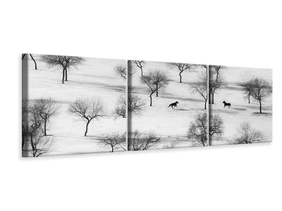 panoramic-3-piece-canvas-print-run
