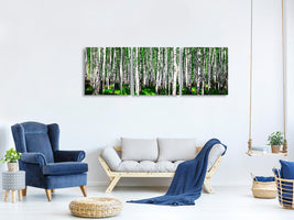 panoramic-3-piece-canvas-print-summerly-birch-forest