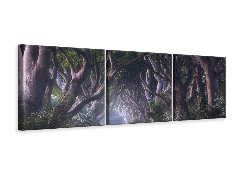 panoramic-3-piece-canvas-print-the-dark-hedges