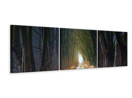 panoramic-3-piece-canvas-print-the-tree-avenue