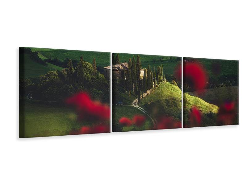 panoramic-3-piece-canvas-print-tuscany-spring-blossoms