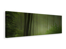 panoramic-canvas-print-forest-morning