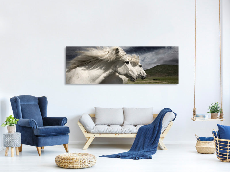 panoramic-canvas-print-interplay