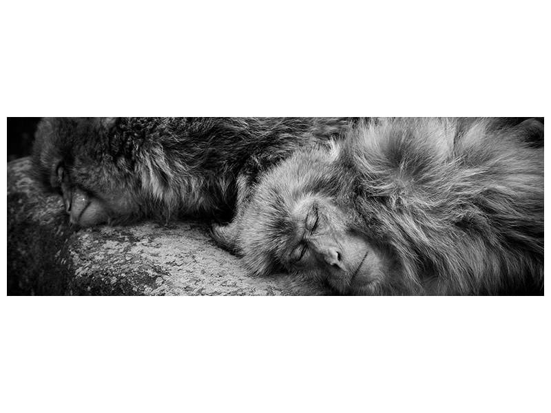 panoramic-canvas-print-sleeping