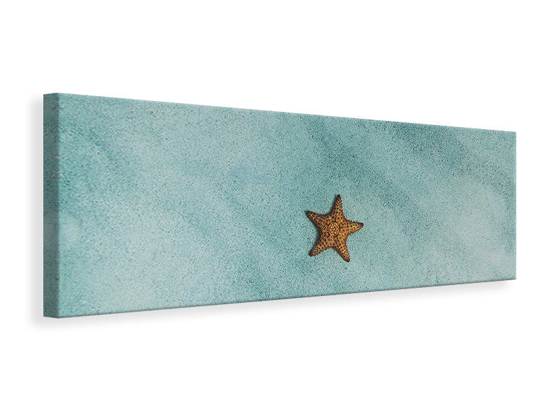 panoramic-canvas-print-the-little-starfish