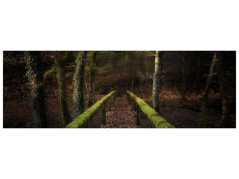panoramic-canvas-print-the-way-to-the-forest