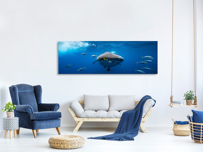 panoramic-canvas-print-whale-shark-escorted-by-a-school-of-bonito