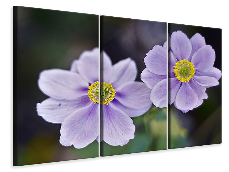 3-piece-canvas-print-2-flowers