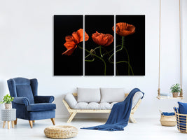 3-piece-canvas-print-around-midnight