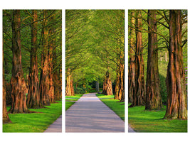 3-piece-canvas-print-beautiful-avenue-in-nature
