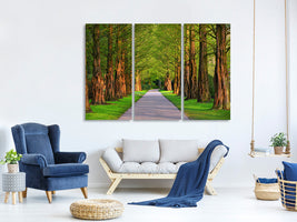 3-piece-canvas-print-beautiful-avenue-in-nature