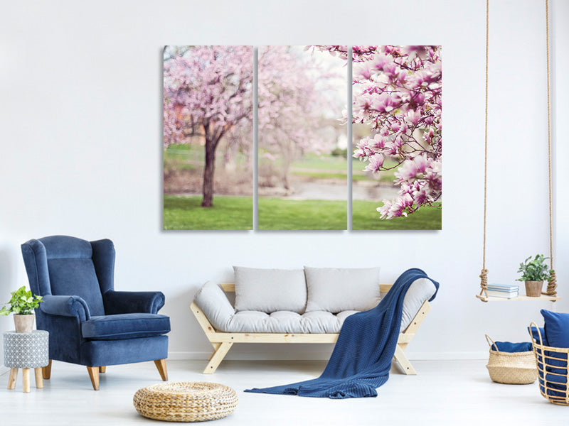 3-piece-canvas-print-beautiful-magnolias