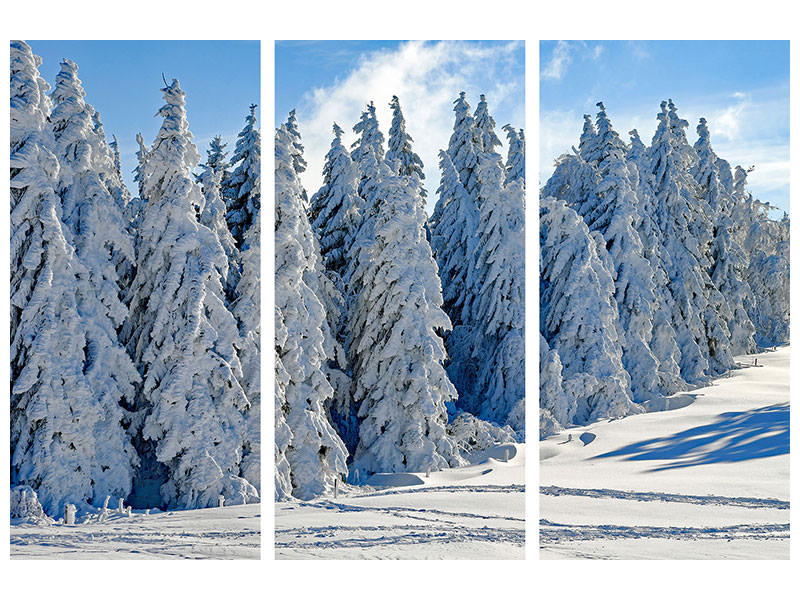 3-piece-canvas-print-beautiful-winter-landscape