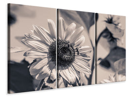 3-piece-canvas-print-bees-on-the-sunflower-sw