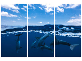 3-piece-canvas-print-between-air-and-water-with-the-dolphins