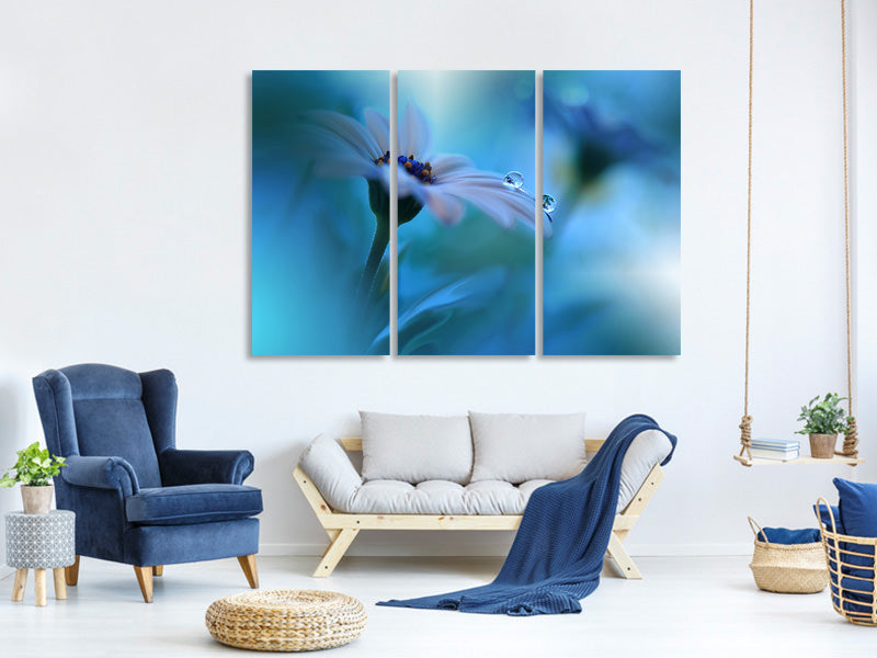 3-piece-canvas-print-beyond-the-visible