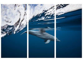 3-piece-canvas-print-bottlenose-dolphin-turciops-aduncus