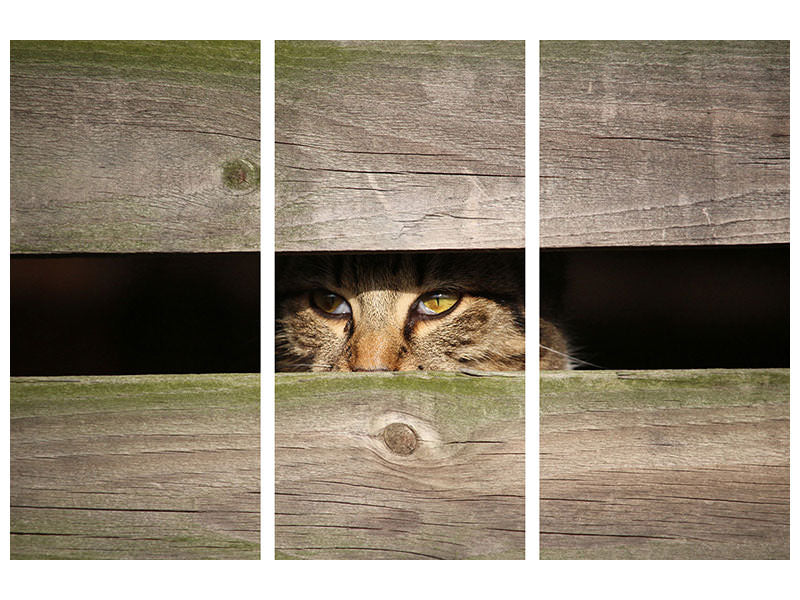 3-piece-canvas-print-cat-in-hiding