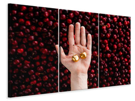3-piece-canvas-print-cherry-picking