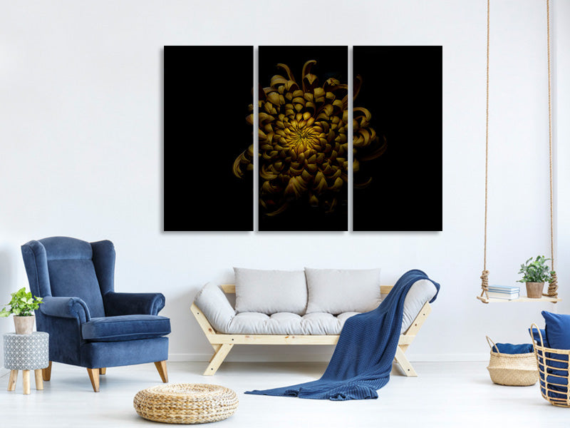 3-piece-canvas-print-chrysanthemum