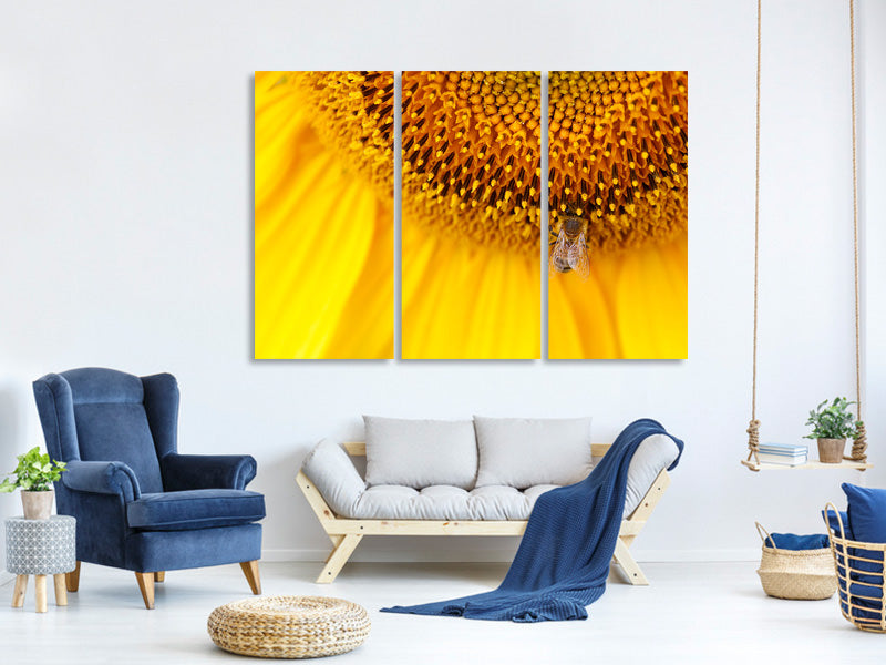 3-piece-canvas-print-close-up-yellow-bud