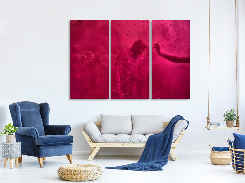 3-piece-canvas-print-colorful-life