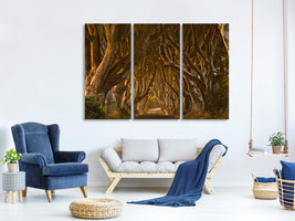 3-piece-canvas-print-early-morning-dark-hedges