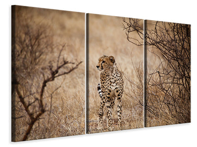3-piece-canvas-print-elegant-cheetah