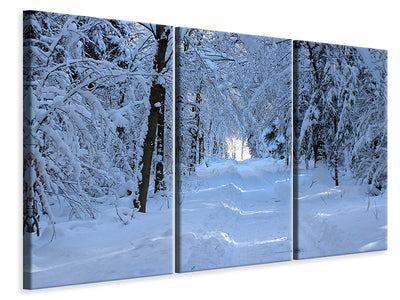 3-piece-canvas-print-finally-winter