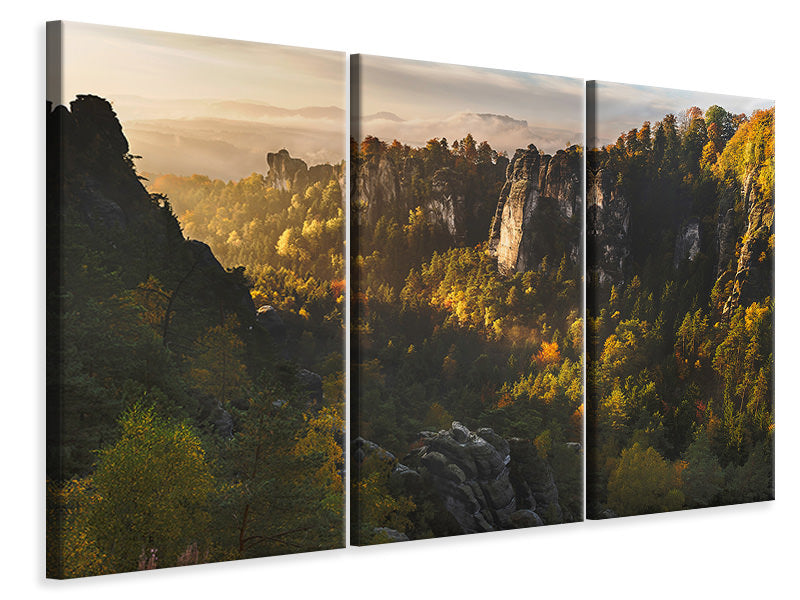 3-piece-canvas-print-forest-whispers