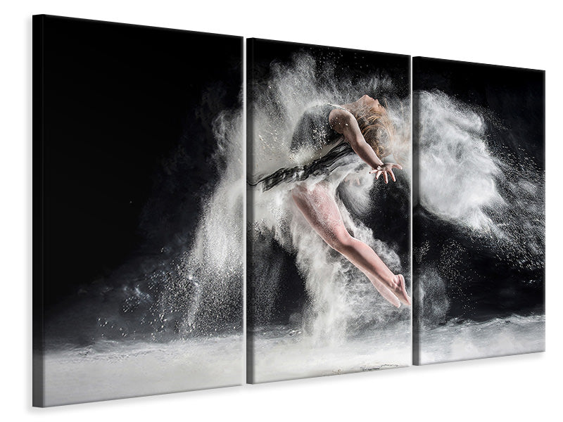 3-piece-canvas-print-frenzy