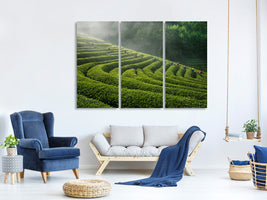 3-piece-canvas-print-green-tea-farm