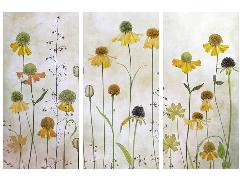 3-piece-canvas-print-helenium