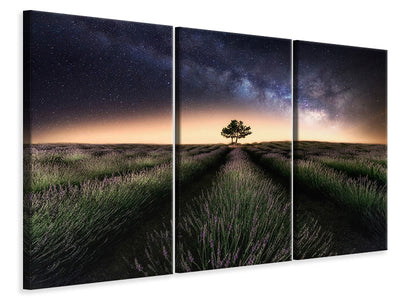 3-piece-canvas-print-lavender-way