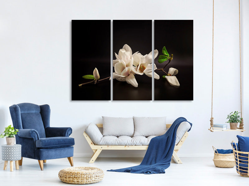 3-piece-canvas-print-magnolia